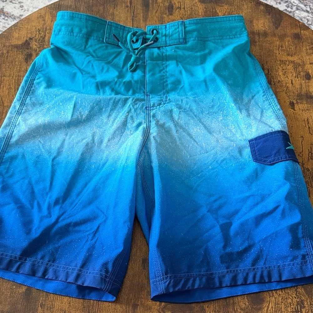 Speedo small Teal and Blue Men's Board Shorts